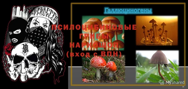 бутират Горно-Алтайск