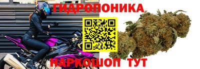 прущие грибы Балашиха