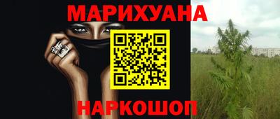 прущие грибы Балашиха