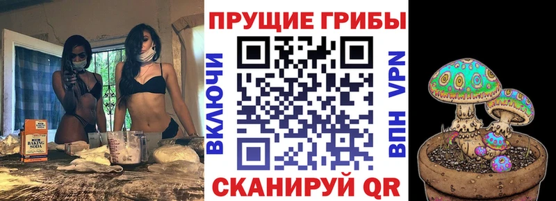 наркошоп  Донецк  Псилоцибиновые грибы Psilocybine cubensis 